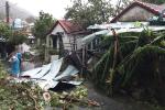 57 người bị thương, 3.300 ngôi nhà sập, hư hỏng do bão Noru-2