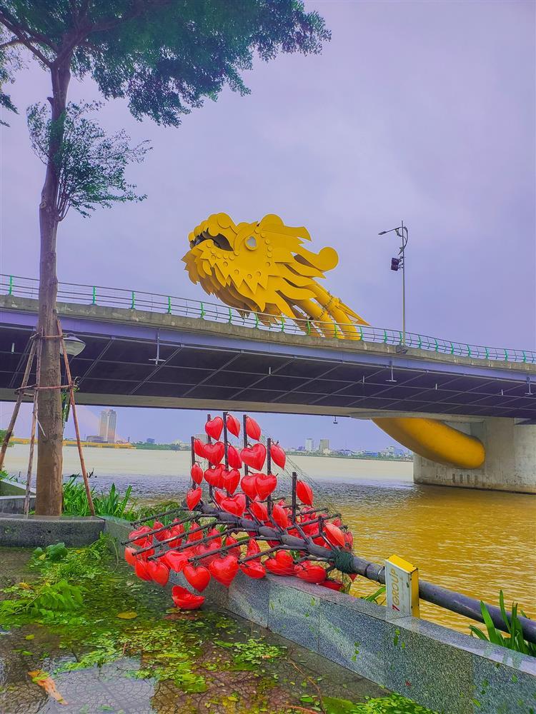 Cây tình yêu ở sông Hàn - Đà Nẵng bị đổ gãy sau bão Noru-1