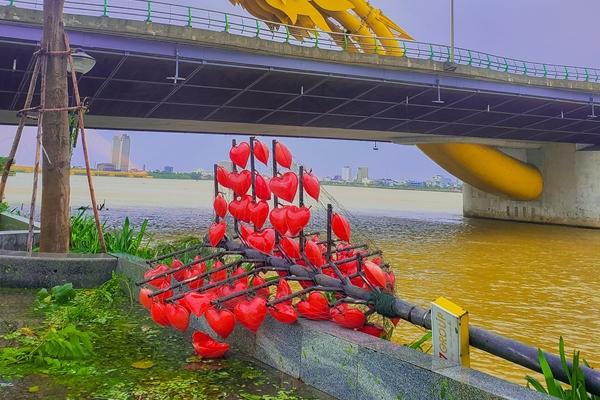 Điểm mặt 5 cây cổ thụ có tuổi thọ lâu đời nhất trên thế giới-6