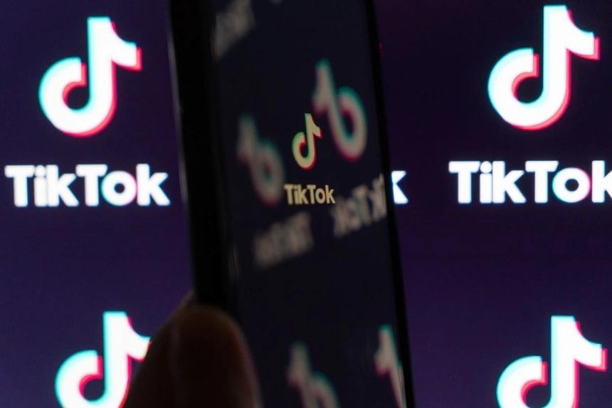 TikTok phải gỡ 113 triệu video rác, độc hại-3