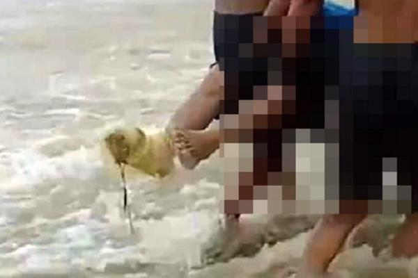 Tìm thấy thi thể hai vợ chồng bị lũ cuốn trôi, 3 con nhỏ bơ vơ-2