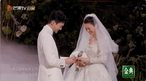 Trương Trí Lâm - Viên Vịnh Nghi chụp ảnh cưới sau 21 năm chung sống-4