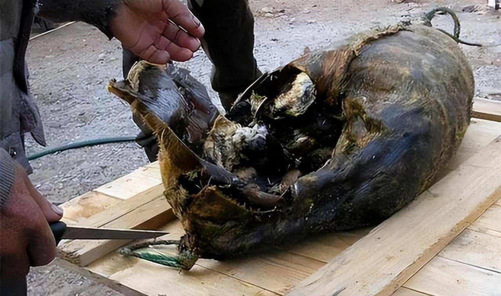 Món thịt lợn bốc mùi treo trên xà 53 năm, chỉ dùng chiêu đãi khách VIP-3