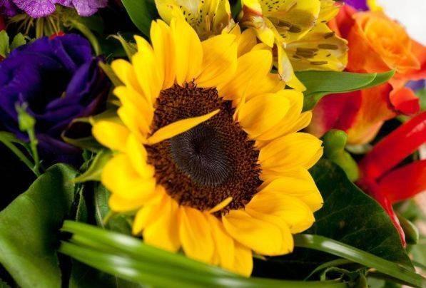 Sinh ngày Âm lịch này là người ham học hỏi, sau 40 tuổi sự nghiệp thuận lợi-3