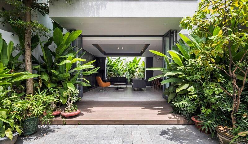 5 loại cây trồng trước nhà nghèo khổ, trồng sau nhà thì giàu có-1