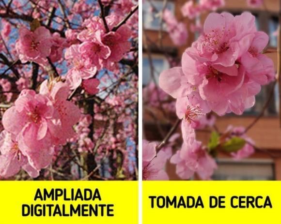 Cách chụp ảnh bằng điện thoại chất như nhiếp ảnh gia chuyên nghiệp-2