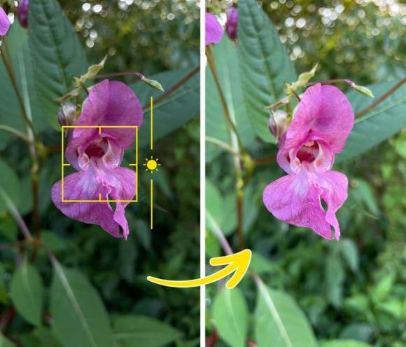 Cách chụp ảnh bằng điện thoại chất như nhiếp ảnh gia chuyên nghiệp-3