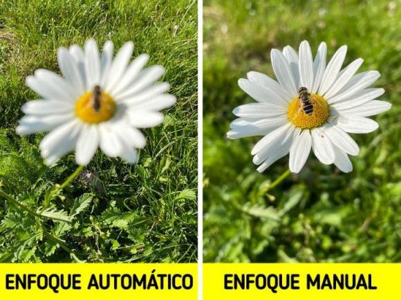 Cách chụp ảnh bằng điện thoại chất như nhiếp ảnh gia chuyên nghiệp-4