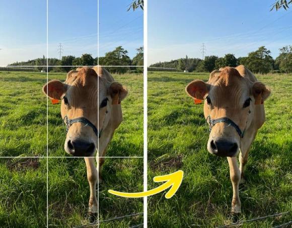 Cách chụp ảnh bằng điện thoại chất như nhiếp ảnh gia chuyên nghiệp-6