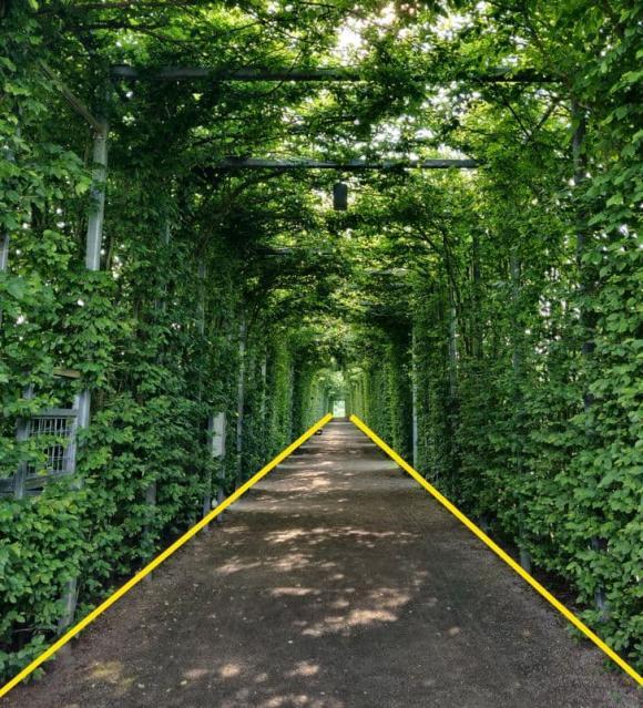 Cách chụp ảnh bằng điện thoại chất như nhiếp ảnh gia chuyên nghiệp-9