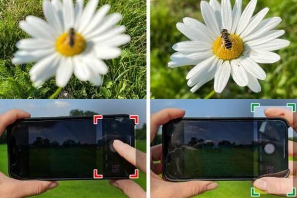 Ngao ngắn cô gái dán mắt vào điện thoại và cái kết đắng lòng bi hài-2