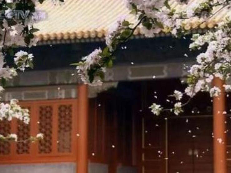 Phim Trung Quốc 50 triệu USD gây thất vọng với loạt sạn ngớ ngẩn-4