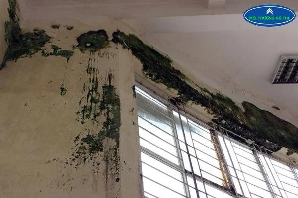 4 đại hung khi mua nhà cũ, cố tình mua dễ xui xẻo, họa liên miên-2