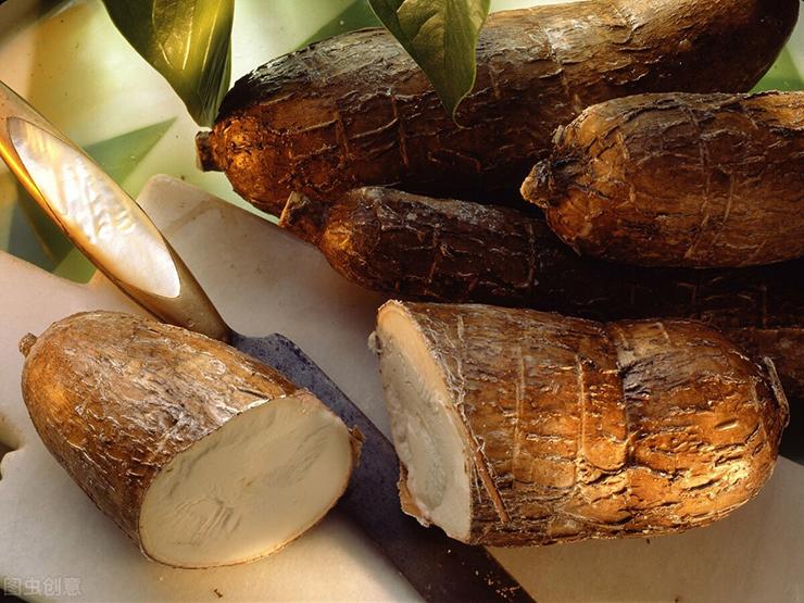 Loại củ cực độc nguồn gốc Brazil, vào Trung Quốc lại thành món ngon-2