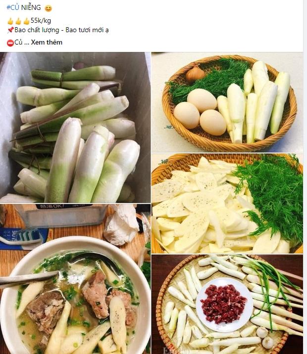 Bất ngờ loại củ mọc dại bờ ao, nay trở thành đặc sản siêu đắt khách-1