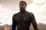 Black Panther: Wakanda Forever - màn tri ân cố tài tử Chadwick Boseman đầy cảm xúc-9