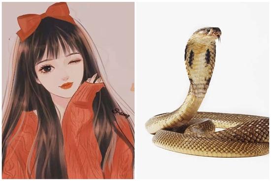 Tử vi hàng ngày 12 con giáp thứ Sáu 7/10/2022: Cạn kiệt vốn liếng