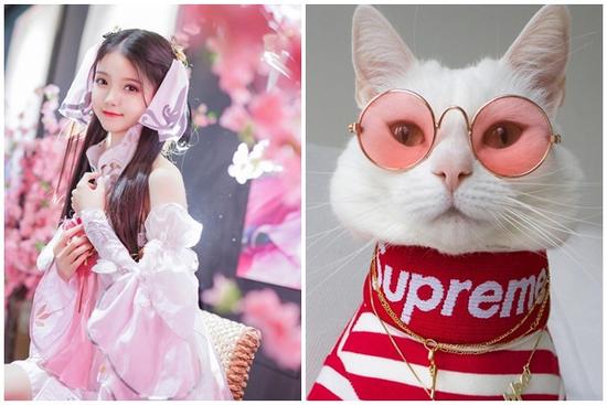 Ngày 6/10 Thần Tài nhả vía: 3 tuổi 'tiền đè người', 1 tuổi đại hồng phát