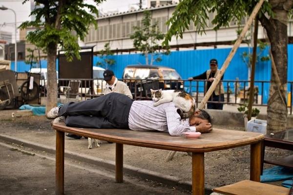 Lễ hội phao chỉ có ở Nhật Bản-8