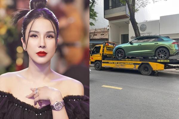 Diệp Lâm Anh nhập viện sau thông tin xe bị cài định vị-7