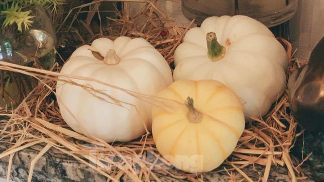 Người Hà Nội phát sốt với những loại rau quả đẹp không nỡ ăn-3