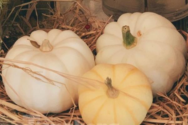 Chị em nô nức lên đồ check-in con đường lãng mạn nhất Hà Nội-10