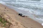 Việt Nam và Trung Quốc điều tra vụ 7 thi thể dạt vào biển Phú Quốc