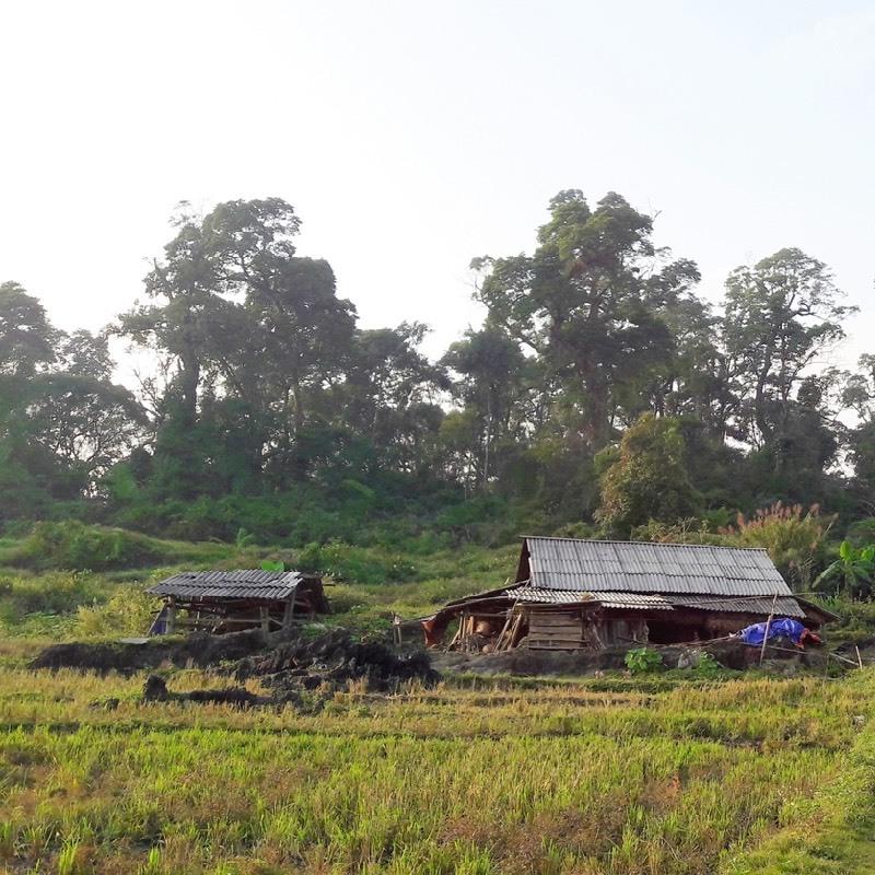 Nhói lòng những cặp lồng cơm của các em học sinh vùng cao-3
