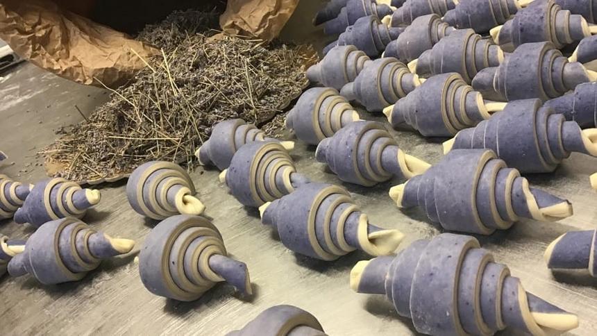 Đạp xe từ Bỉ qua Pháp để ăn bánh sừng bò-1