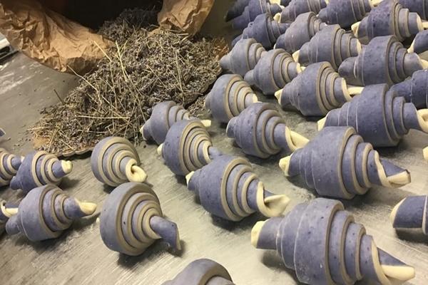 Xe đạp mai táng độc lạ xuất hiện ở Pháp-2