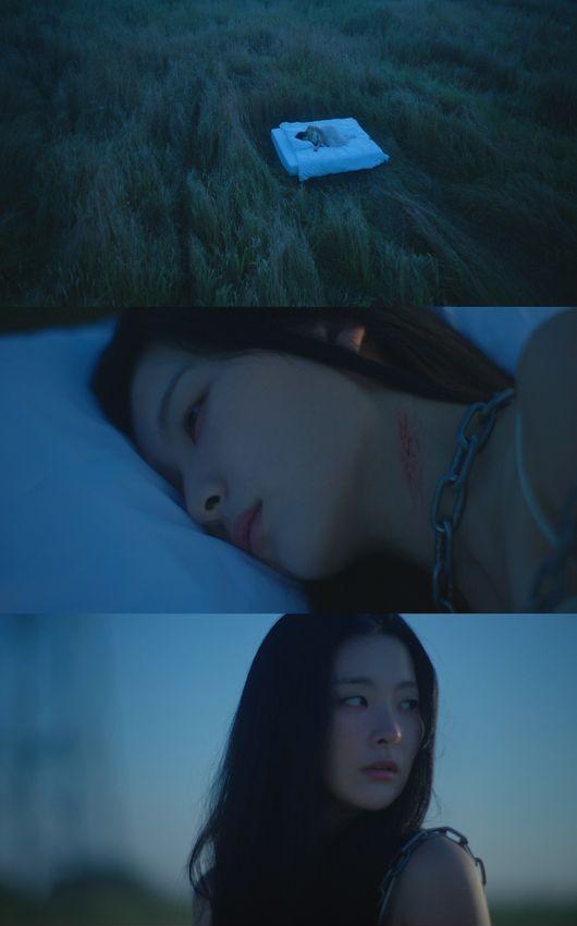 Seulgi (Red Velvet) xao xuyến khi được fan nữ 17 tuổi cầu hôn-5