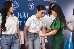 Trao sash cho Top 50 thí sinh Hoa hậu Biển đảo Việt Nam 2022