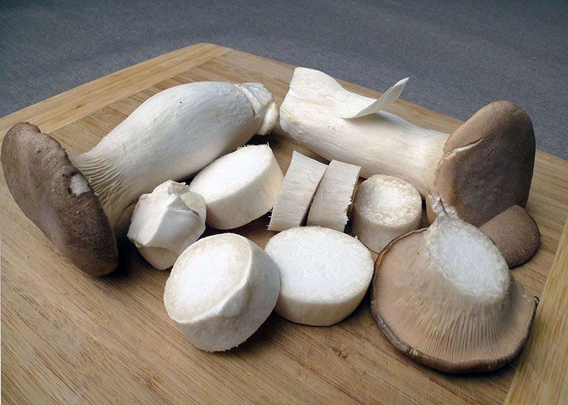 5 loại nấm rẻ tiền nhưng bổ dưỡng ngang ngửa nhân sâm-2