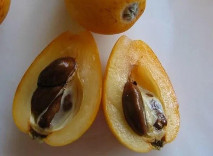 4 loại quả đắt như vàng vẫn cháy hàng ở Việt Nam-11