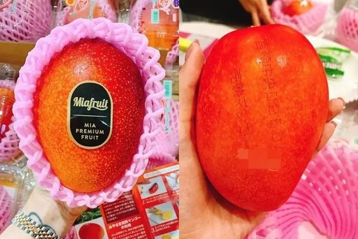 4 loại quả đắt như vàng vẫn cháy hàng ở Việt Nam-7