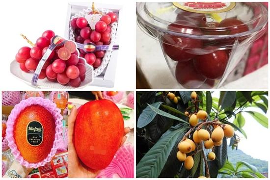 4 loại quả 'đắt như vàng' vẫn 'cháy hàng' ở Việt Nam