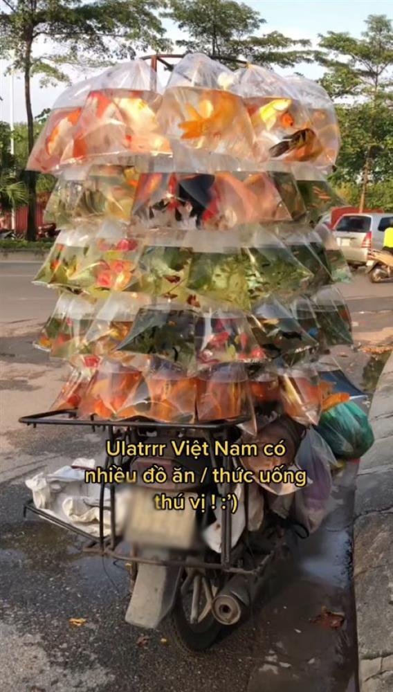 Cô gái ngoại quốc nhầm túi bán cá là đồ uống đường phố Việt Nam-2