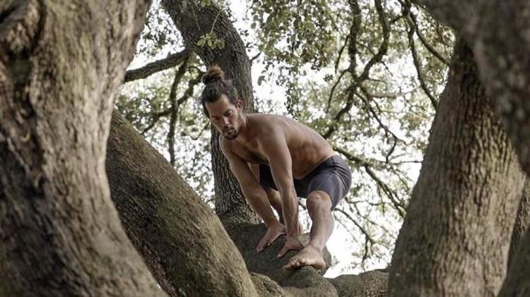 Tarzan đời thực dạy du khách leo cây, đu dây như khỉ giá 230 nghìn-1