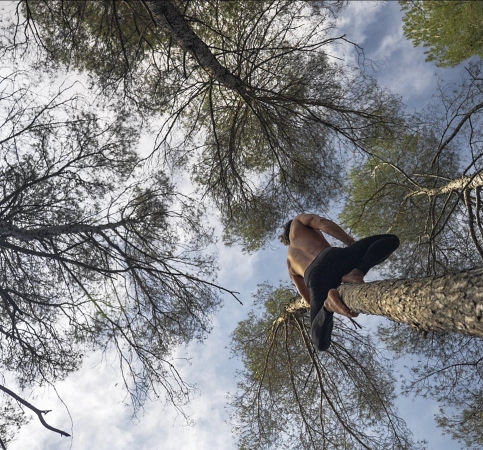 Tarzan đời thực dạy du khách leo cây, đu dây như khỉ giá 230 nghìn-2