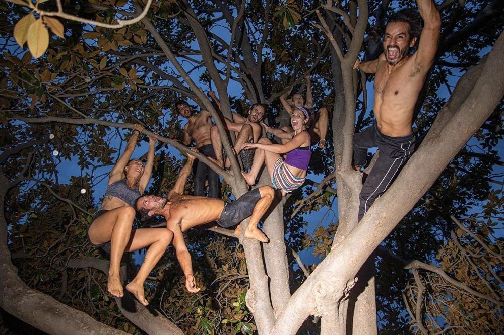 Tarzan đời thực dạy du khách leo cây, đu dây như khỉ giá 230 nghìn-3