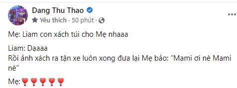 Đặng Thu Thảo hiếm hoi khoe con trai, lớn thêm không ít-3