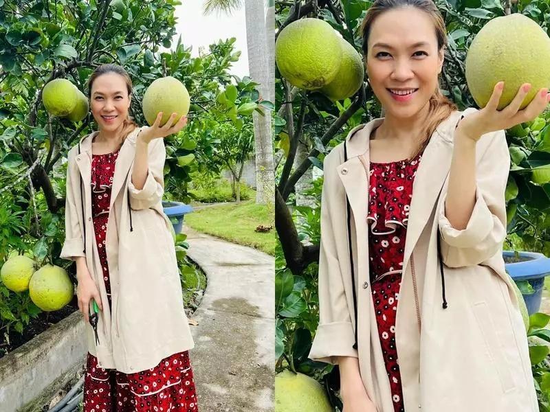 Mỹ Tâm chữa cháy kịp thời tránh bị soi mang thai ở livestream-5