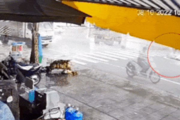 Clip: Cô gái tố bị nhân viên nhà xe Tiến Oanh sàm sỡ-2