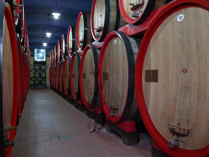 Kinh ngạc nam nghệ sĩ có khả năng tàng hình trước mắt mọi người-7