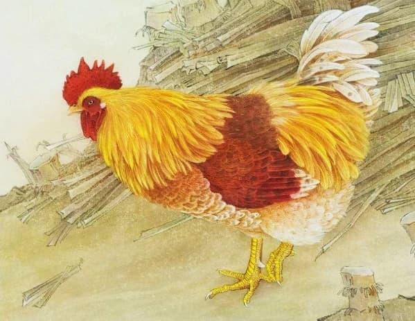 Tử vi hàng ngày 12 con giáp thứ Năm 13/10/2022: Cố đấm ăn xôi-3