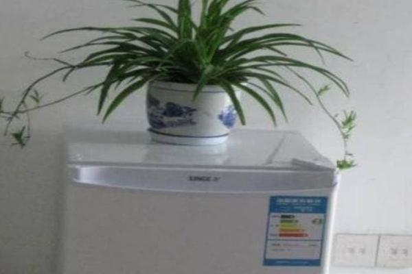 Phụ nữ đừng để những thứ này trên tủ lạnh-3