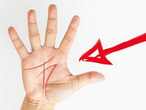 Mở bàn tay, kẻ đường chỉ tay có 2 kiểu hậu vận sung sướng vô biên-2