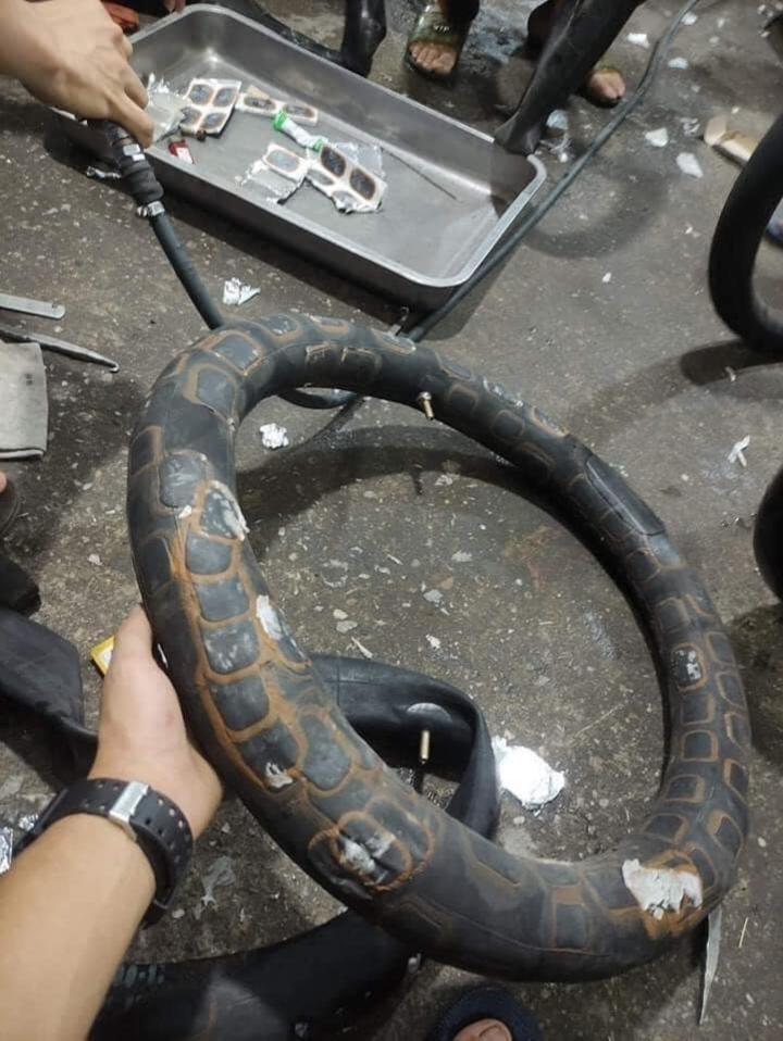 Hình ảnh hài hước biểu hiện của sự cố chấp chạm mức đỉnh cao-1