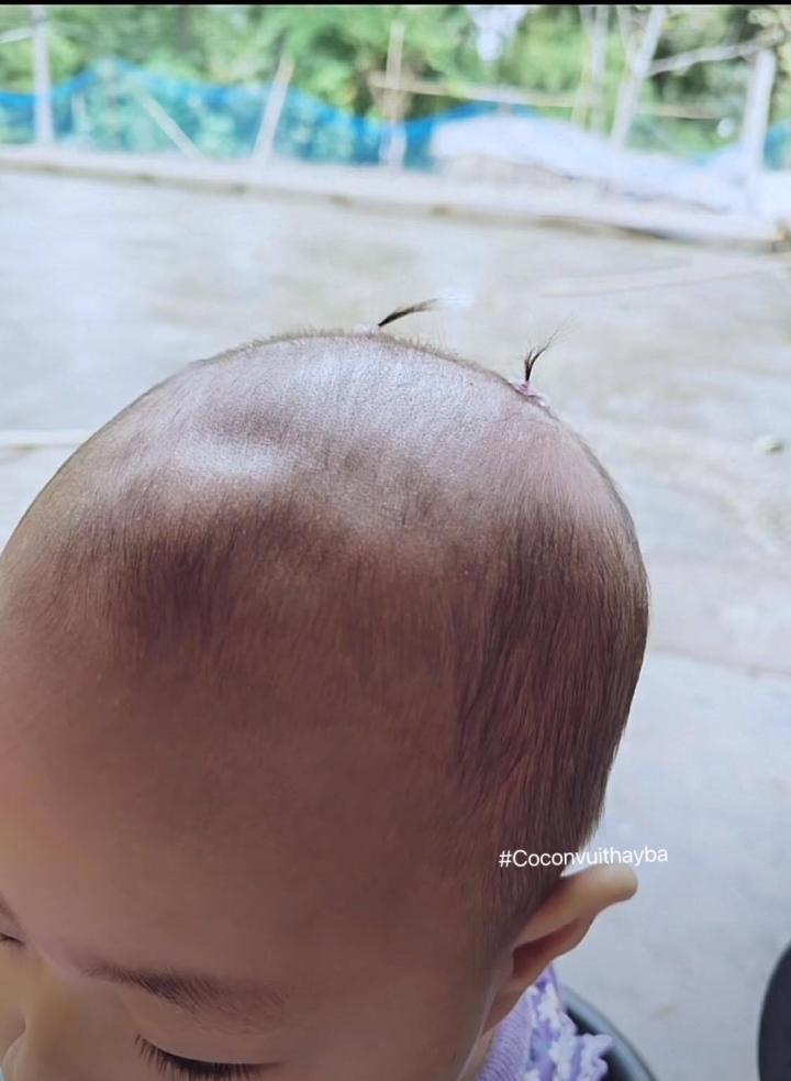 Hình ảnh hài hước biểu hiện của sự cố chấp chạm mức đỉnh cao-3