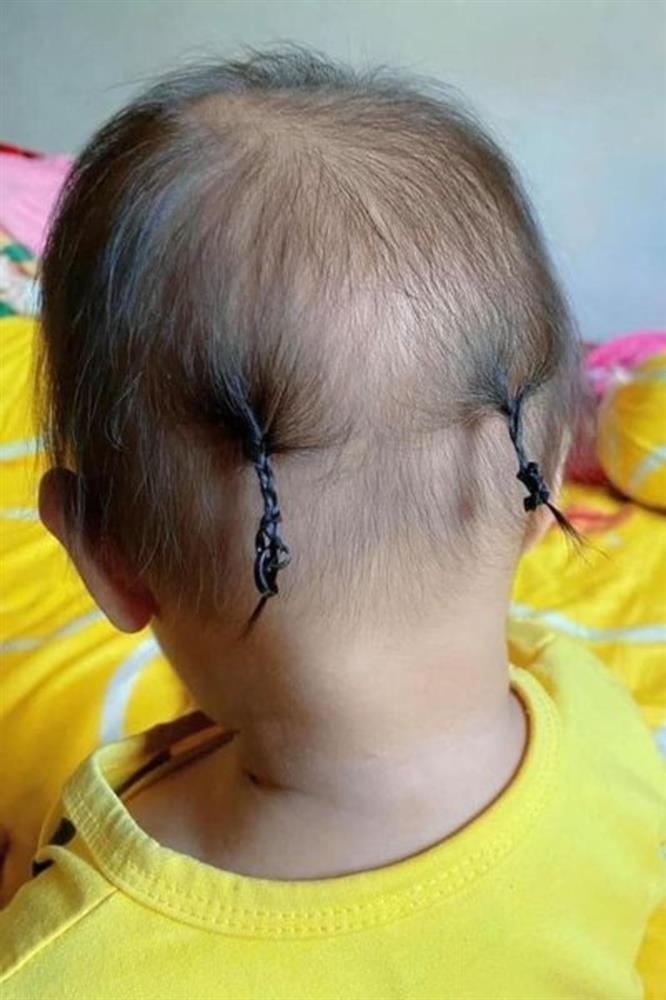 Hình ảnh hài hước biểu hiện của sự cố chấp chạm mức đỉnh cao-4